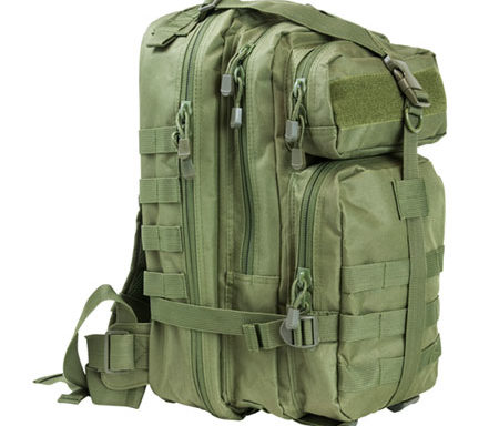 Small back pack (black, green, tan) 