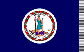 Virginia State 3 x 5
